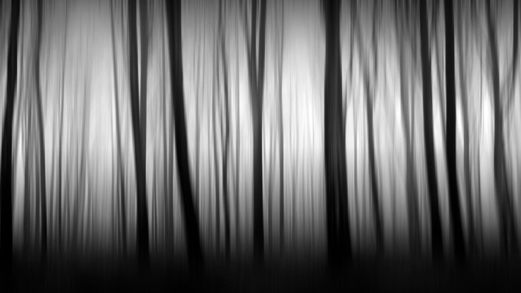 photography black and white long exposure fine art
